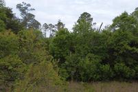 Farm and Ranch for sale in Liberty County, Florida