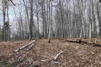 Undeveloped Land for sale in Schoolcraft County, Michigan