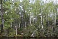 Land for sale in Saint Louis County, Minnesota