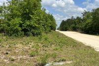 Land for sale in Levy County, Florida