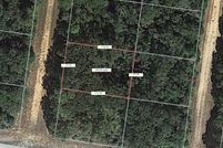 Undeveloped Land for sale in Leon County, Texas