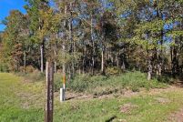 Undeveloped Land in Trinity County, Texas