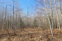 Undeveloped Land for sale in Sawyer County, Wisconsin