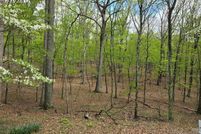 Land for sale in Morgan County, West Virginia