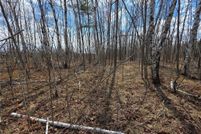 Land for sale in Crow Wing County, Minnesota