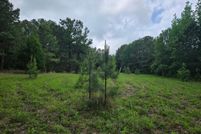 Undeveloped Land for sale in Rusk County, Texas