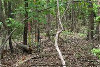 Land for sale in Pulaski County, Arkansas