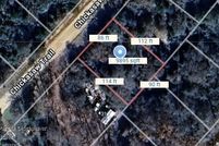 Undeveloped Land for sale in Leon County, Texas