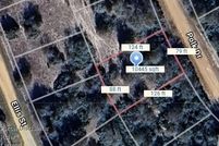 Undeveloped Land for sale in Leon County, Texas