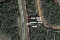 Undeveloped Land for sale in Leon County, Texas