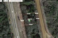 Undeveloped Land for sale in Leon County, Texas