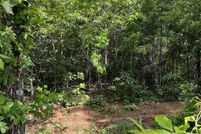 Land for sale in Pike County, Arkansas