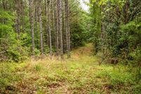 Farm and Ranch for sale in Wilkinson County, Mississippi