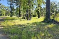 Land for sale in Sabine Parish, Louisiana