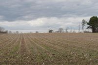 Land for sale in Hertford County, North Carolina