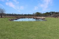 Land for sale in Brantley County, Georgia
