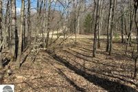 Land for sale in Osceola County, Michigan