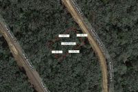 Undeveloped Land for sale in Leon County, Texas