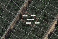 Land for sale in Leon County, Texas