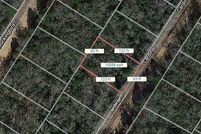 Undeveloped Land for sale in Leon County, Texas