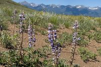 Land for sale in Custer County, Colorado