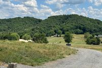 Undeveloped Land for sale in Washington County, Virginia
