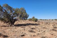 Land for sale in Navajo County, Arizona