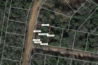 Undeveloped Land for sale in Leon County, Texas