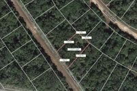 Undeveloped Land for sale in Leon County, Texas