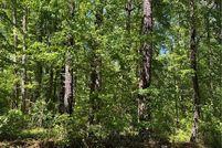 Land for sale in Suffolk City County, Virginia