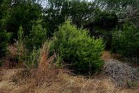 Land for sale in Travis County, Texas