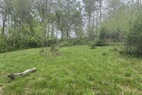 Land for sale in Allen County, Kentucky