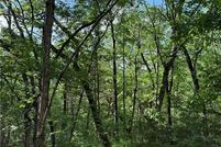 Undeveloped Land for sale in Carroll County, Arkansas