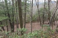 Land for sale in Jackson County, North Carolina