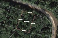 Undeveloped Land for sale in Leon County, Texas