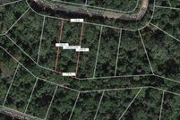 Undeveloped Land for sale in Leon County, Texas