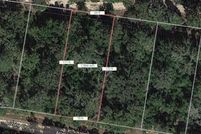 Undeveloped Land for sale in Leon County, Texas
