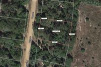 Undeveloped Land for sale in Leon County, Texas