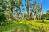 Land for sale in Shelby County, Texas