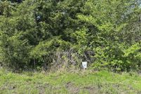 Land for sale in Fannin County, Texas