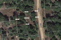 Undeveloped Land for sale in Leon County, Texas