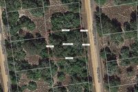 Land for sale in Leon County, Texas