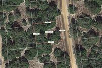 Land for sale in Leon County, Texas