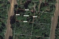 Land for sale in Leon County, Texas