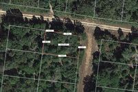 Undeveloped Land for sale in Leon County, Texas