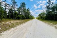 Land for sale in Levy County, Florida