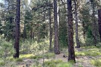 Undeveloped Land for sale in Adams County, Idaho