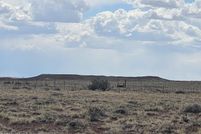 Land for sale in Navajo County, Arizona