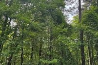 Timberland Property for sale in Newton County, Georgia