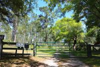 Land for sale in Grady County, Georgia